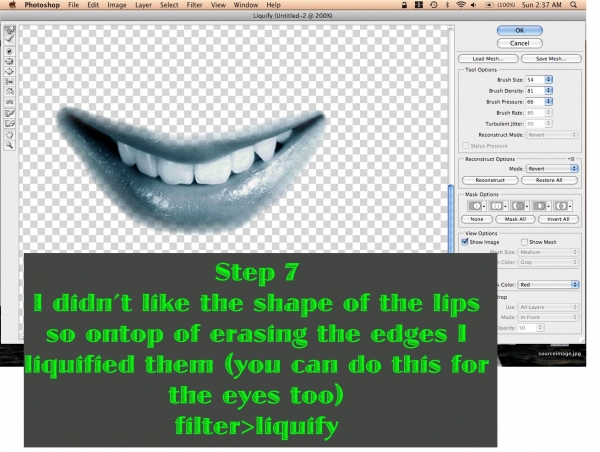 Creation of FLOWAH: Step 4